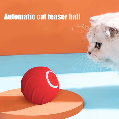 PowerBall Cat Toy